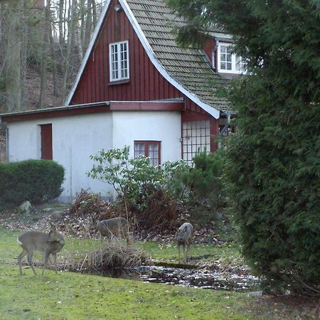 Вилла Skovvej Holiday House 1 Раннерс Экстерьер фото